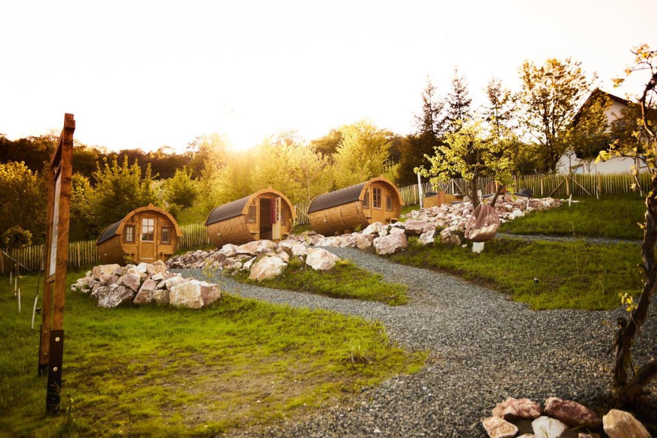 Complex Butoaiele Transilvaniei - Cazare & Spa - Natura - Relaxare Mediaş المظهر الخارجي الصورة