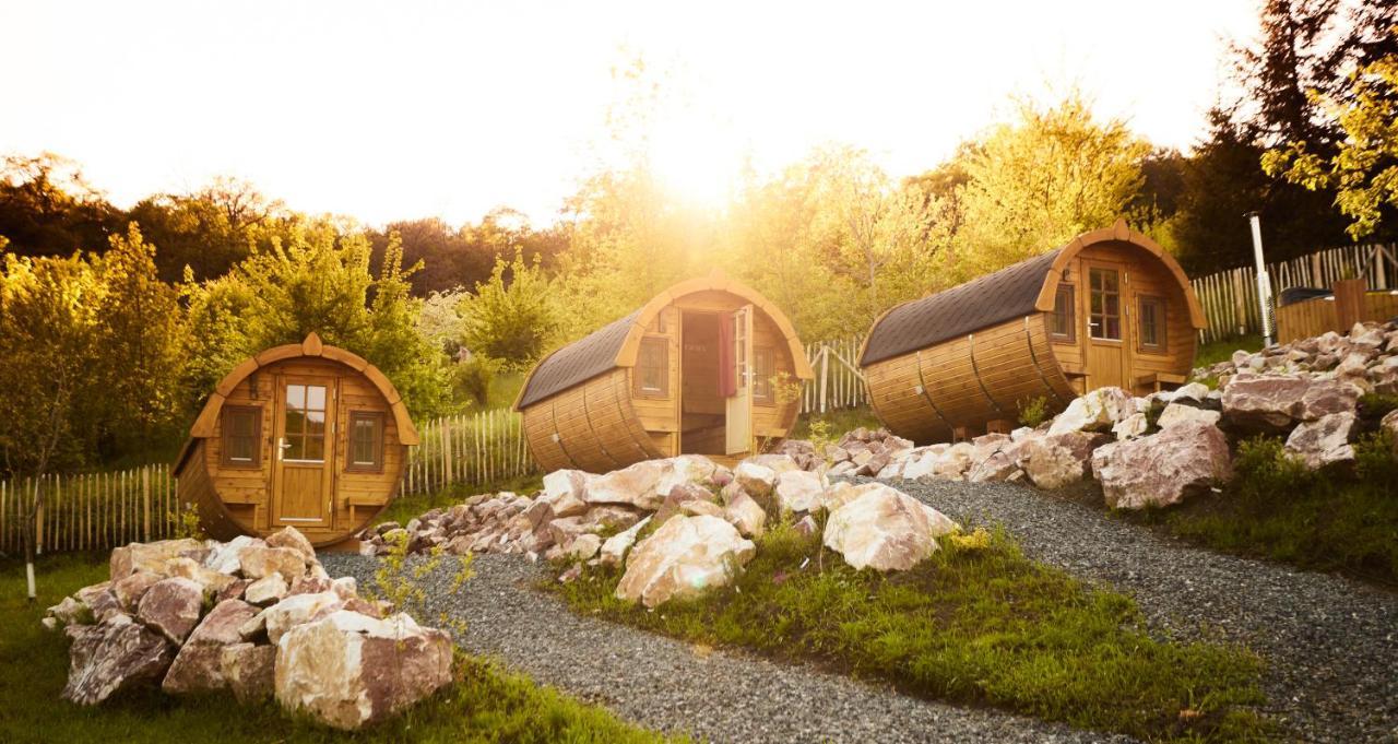 Complex Butoaiele Transilvaniei - Cazare & Spa - Natura - Relaxare Mediaş المظهر الخارجي الصورة