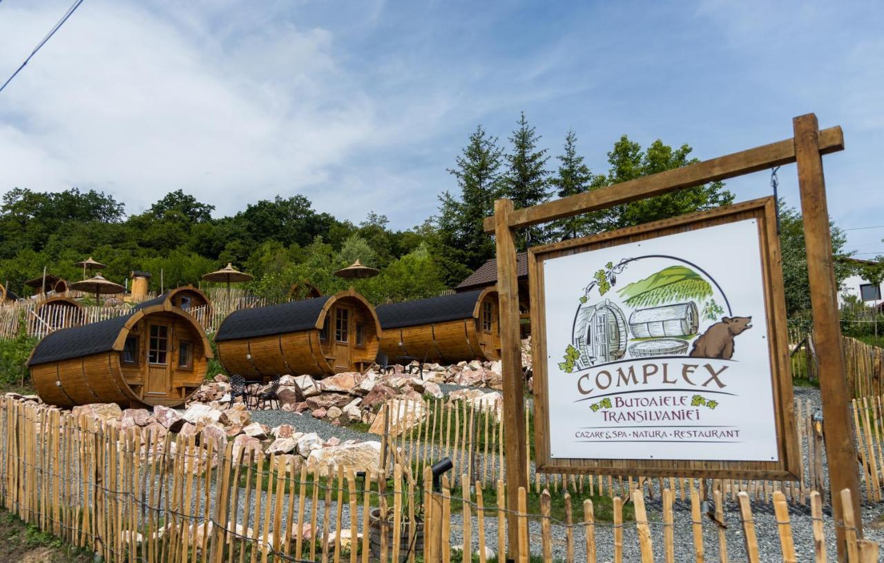 Complex Butoaiele Transilvaniei - Cazare & Spa - Natura - Relaxare Mediaş المظهر الخارجي الصورة