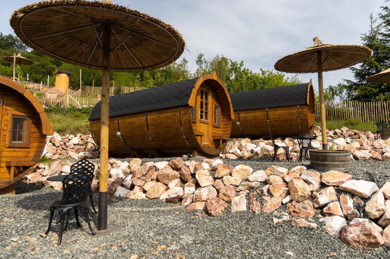 Complex Butoaiele Transilvaniei - Cazare & Spa - Natura - Relaxare Mediaş المظهر الخارجي الصورة