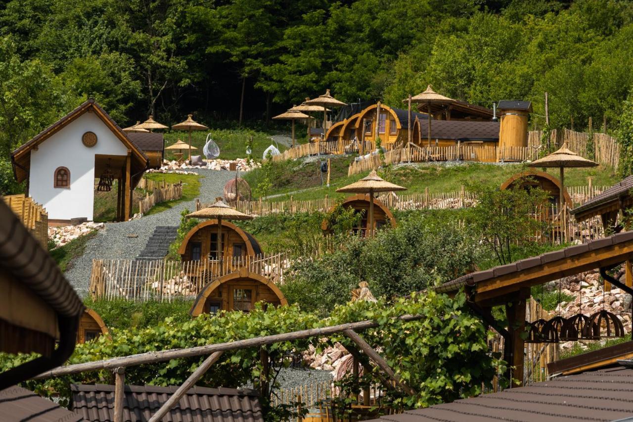 Complex Butoaiele Transilvaniei - Cazare & Spa - Natura - Relaxare Mediaş المظهر الخارجي الصورة