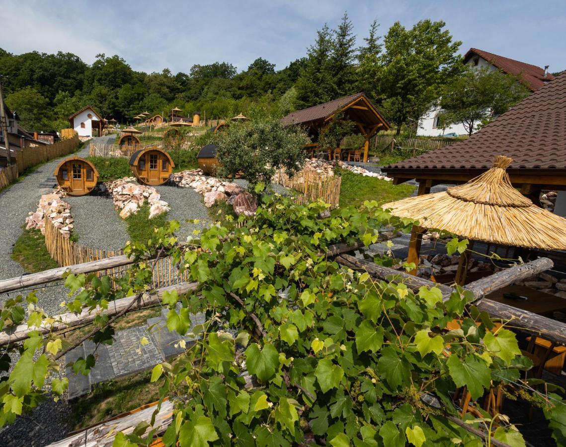 Complex Butoaiele Transilvaniei - Cazare & Spa - Natura - Relaxare Mediaş المظهر الخارجي الصورة